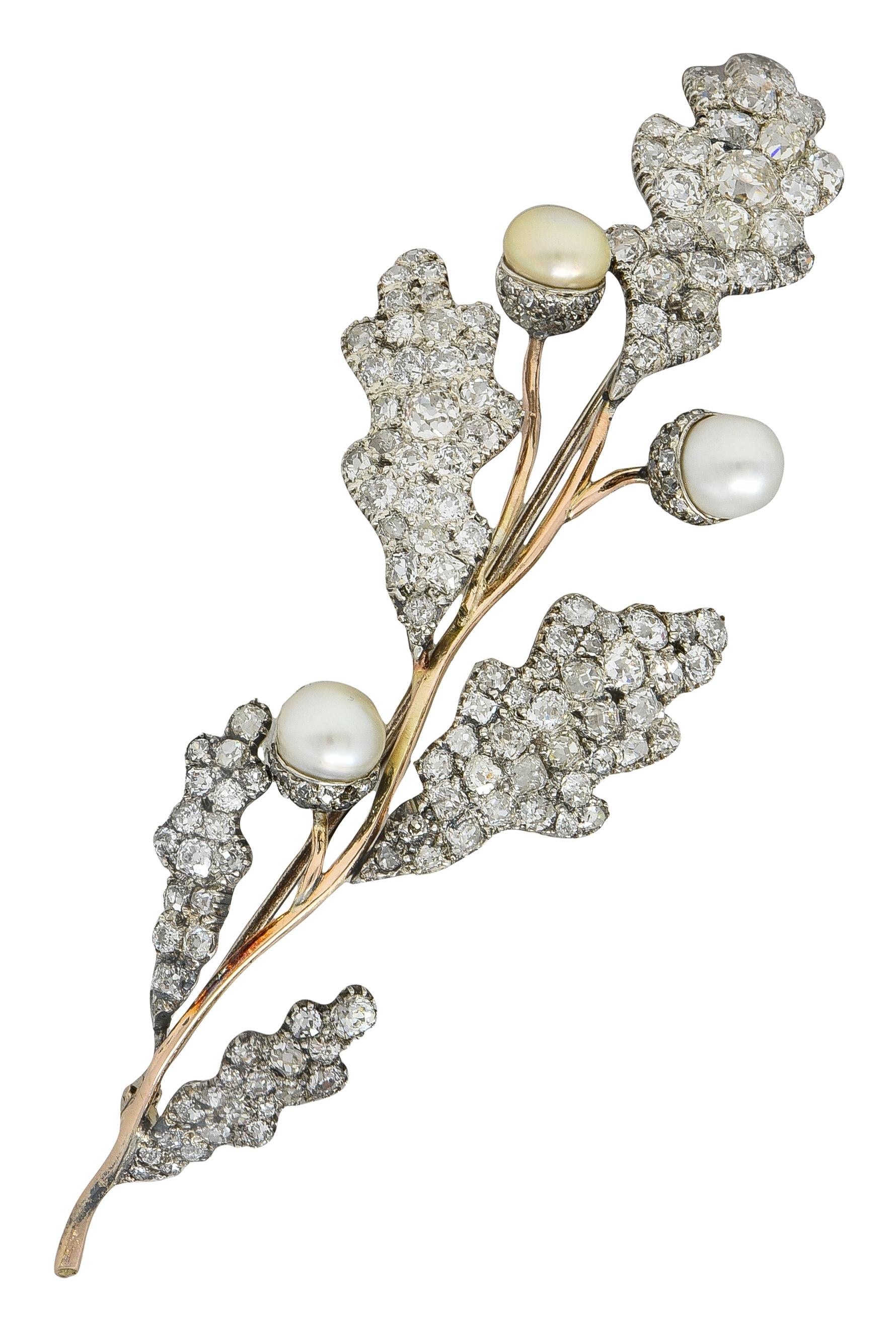 Victorian Natural Pearl Diamond 14K Gold Silver Antique Acorn Branch Brooch