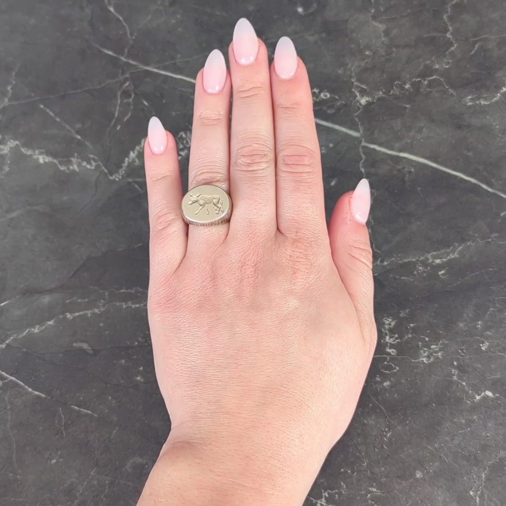 Edwardian 14 Karat White Gold Antique Fox Intaglio Unisex Signet Ring