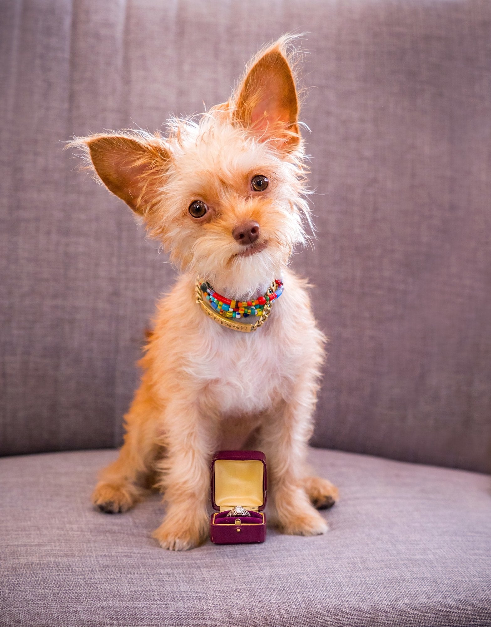 Exemplary Art Deco 0.70 CTW Diamond 18K White Gold Floral Filigree Engagement Ring Wilson's Estate Jewelry