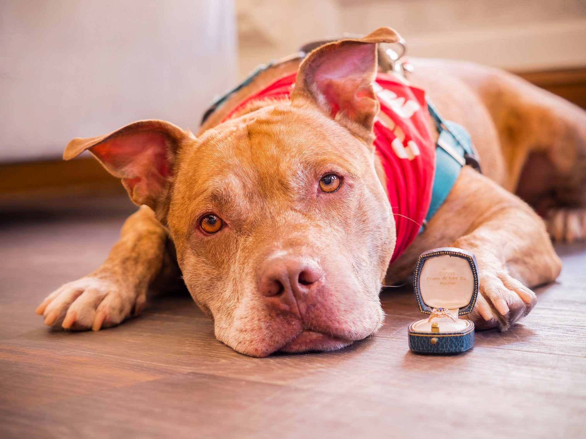 Victorian 1.57 CTW Sapphire Old Mine Cut Diamond 14 Karat Gold Cluster Ring Wilson's Estate Jewelry